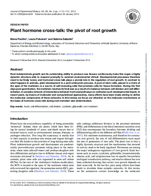 (PDF) Plant hormone cross-talk: the pivot of root growth
