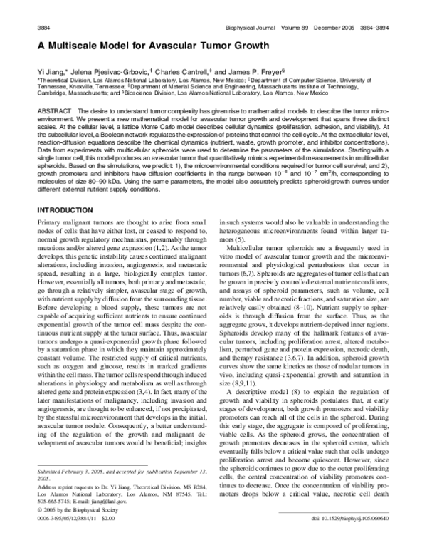 (PDF) A Multiscale Model for Avascular Tumor Growth