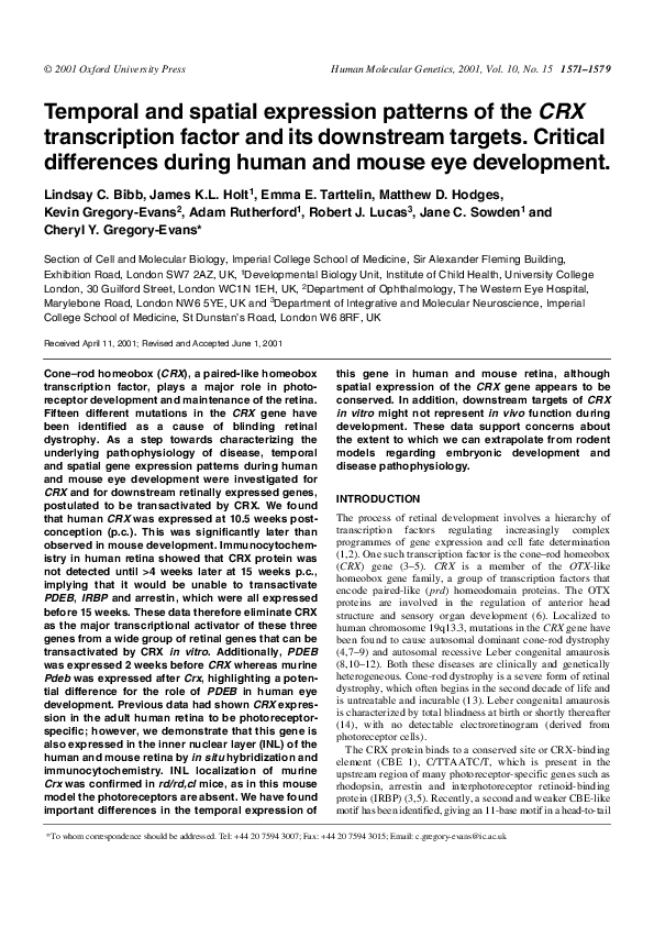 (PDF) Temporal and spatial expression patterns of the CRX transcription ...