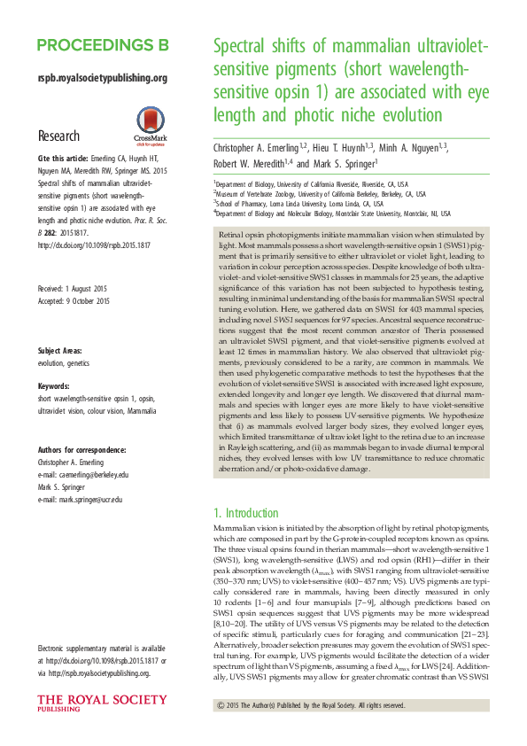 (PDF) Spectral shifts of mammalian ultraviolet-sensitive pigments ...