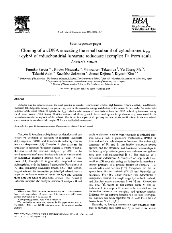 (PDF) Cloning of a cDNA encoding the small subunit of cytochrome b558 ...