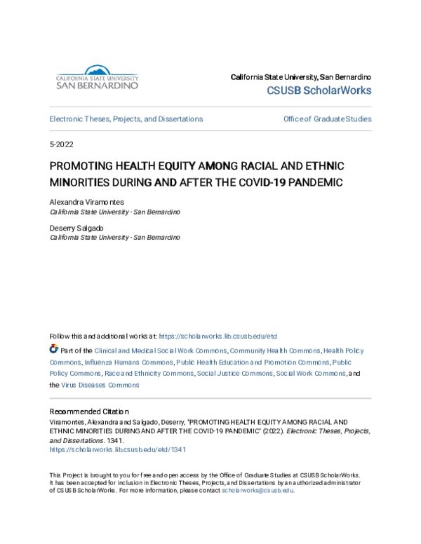(PDF) Promoting Health Equity Among Racial and Ethnic Minorities During ...