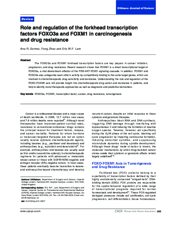 (PDF) Role and regulation of the forkhead transcription factors FOXO3a ...