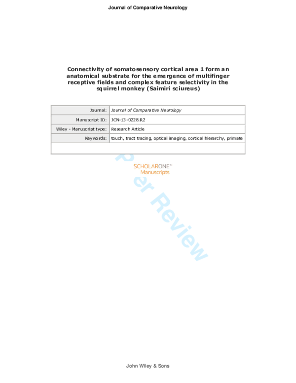 (PDF) Connectivity of somatosensory cortical area 1 forms an anatomical ...