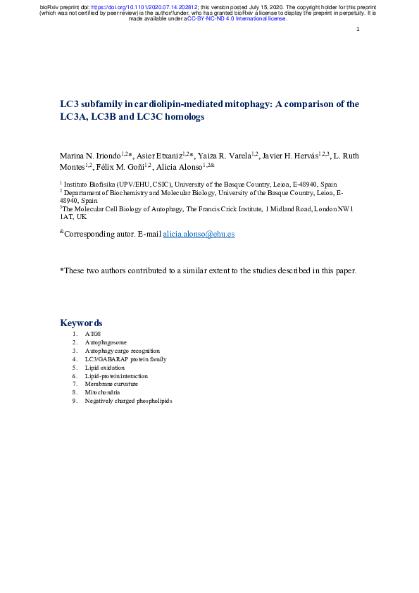 (PDF) LC3 subfamily in cardiolipin-mediated mitophagy: A comparison of ...