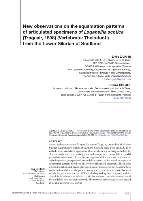 (PDF) New observations on the squamation patterns of articulated ...