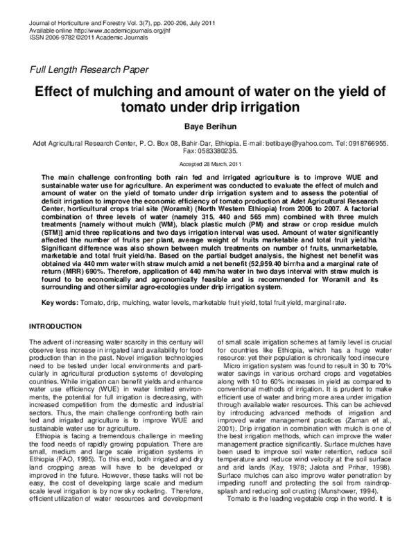 (PDF) Effect of mulching and amount of water on the yield of tomato ...