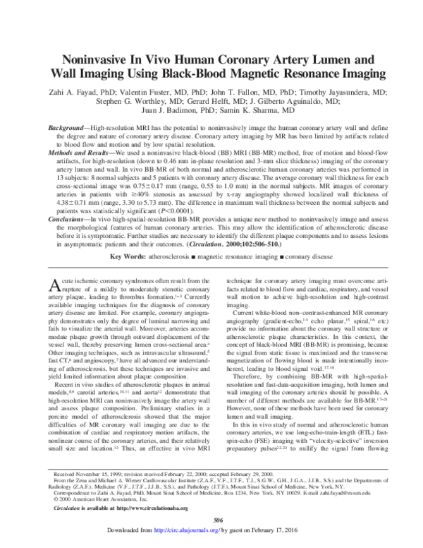 (PDF) Noninvasive In Vivo Human Coronary Artery Lumen and Wall Imaging ...