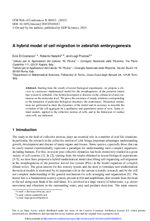 (PDF) A hybrid model of cell migration in zebrafish embryogenesis