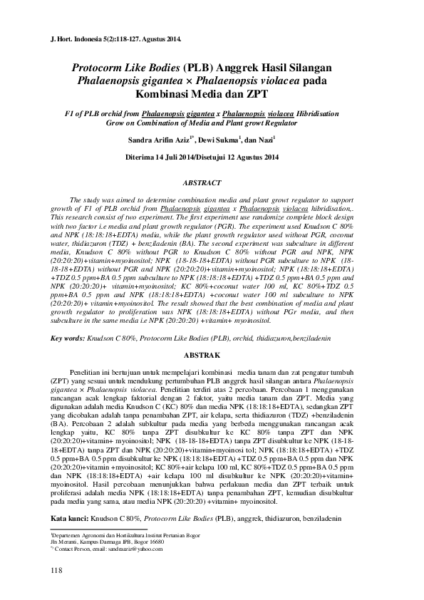 (PDF) Protocorm Like Bodies (PLB) Anggrek Hasil Silangan Phalaenopsis ...