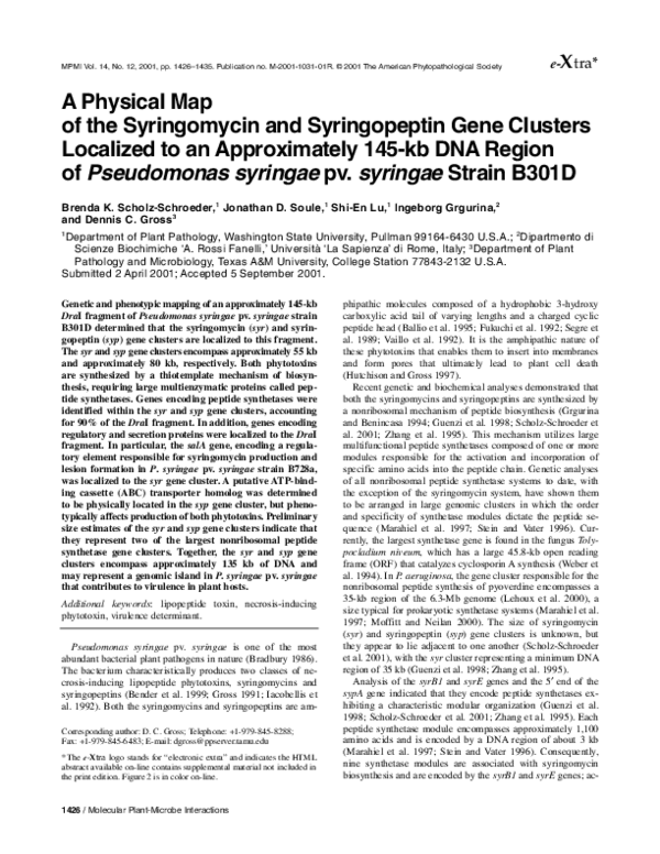 (PDF) A Physical Map of the Syringomycin and Syringopeptin Gene ...