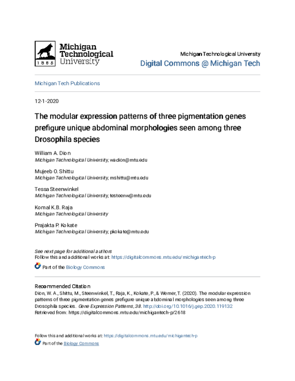 (PDF) The modular expression patterns of three pigmentation genes ...