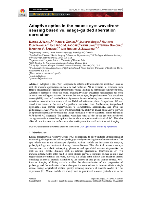 (PDF) Adaptive optics in the mouse eye: wavefront sensing based vs ...