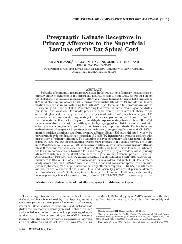 (PDF) Presynaptic kainate receptors in primary afferents to the ...