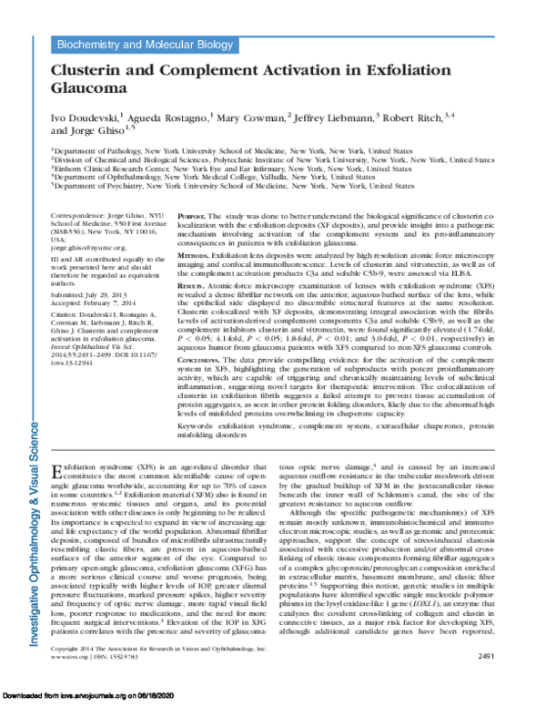 (PDF) Clusterin and Complement Activation in Exfoliation Glaucoma