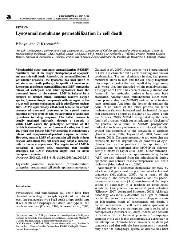 (PDF) Lysosomal membrane permeabilization in cell death