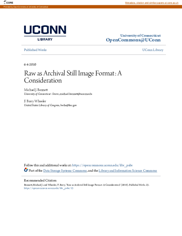 (PDF) Raw as archival still image format: A consideration