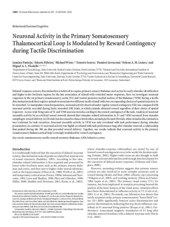 (PDF) Behavioral/Systems/Cognitive Neuronal Activity in the Primary ...