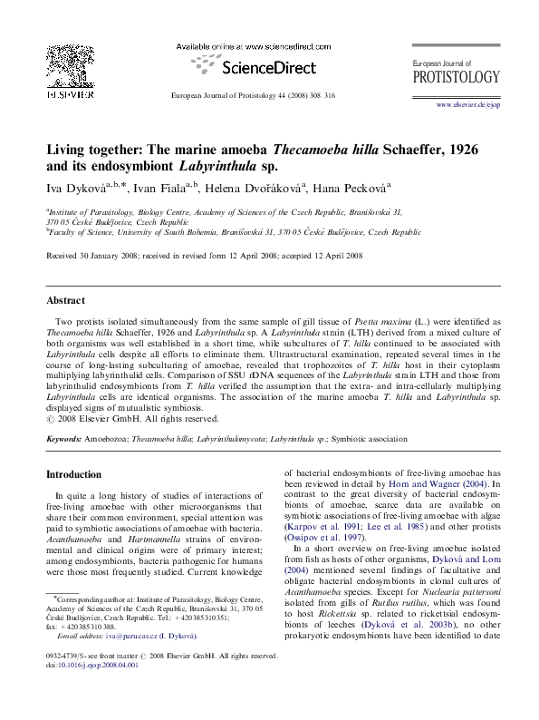 (PDF) Living together: The marine amoeba Thecamoeba hilla Schaeffer ...