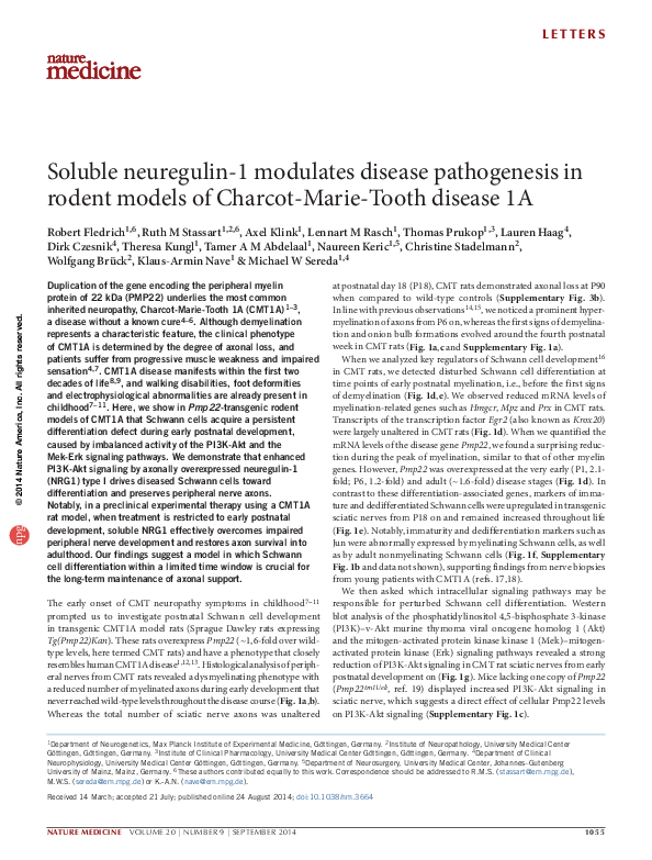 (PDF) Soluble neuregulin-1 modulates disease pathogenesis in rodent ...