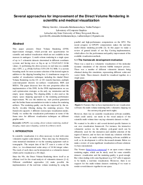 (PDF) Several approaches for improvement of the Direct Volume Rendering ...