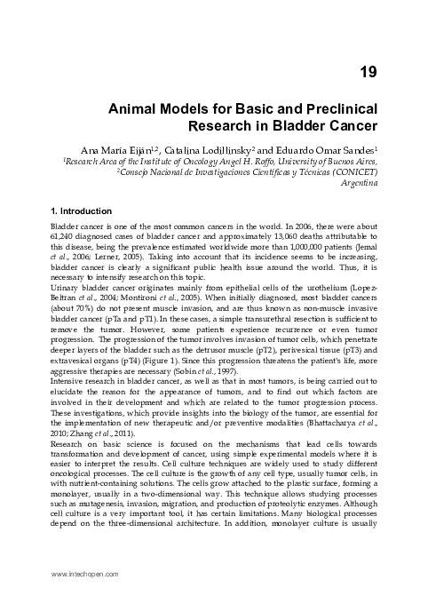 (PDF) Animal Models for Basic and Preclinical Research in Bladder Cancer