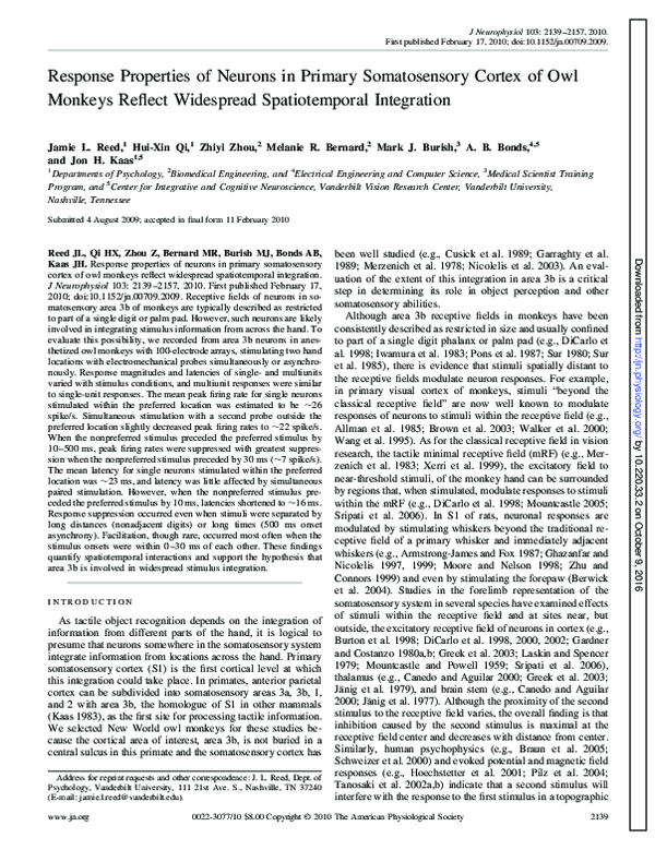 (PDF) Response Properties of Neurons in Primary Somatosensory Cortex of ...