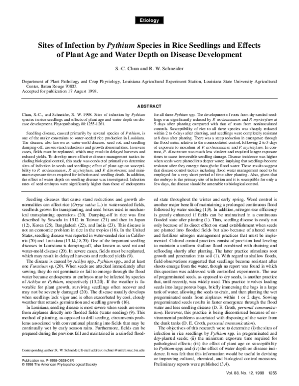 (PDF) Sites of Infection by Pythium Species in Rice Seedlings and ...