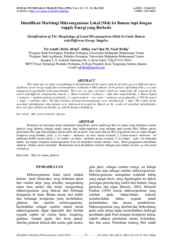 (PDF) Identifikasi Marfologi Mikroorganisme Lokal (Mol) Isi Rumen Sapi ...