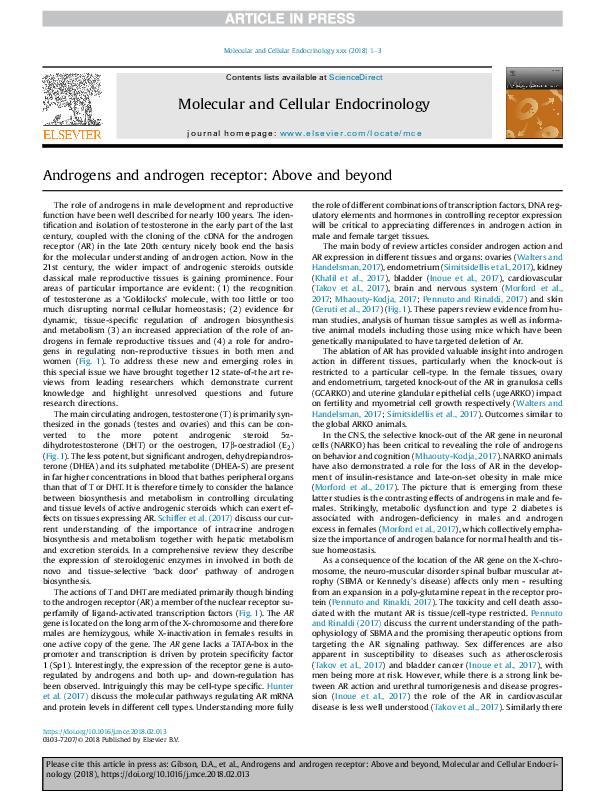 (PDF) Androgens and androgen receptor: Above and beyond