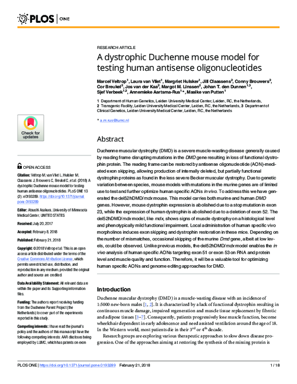 (PDF) A dystrophic Duchenne mouse model for testing human antisense ...