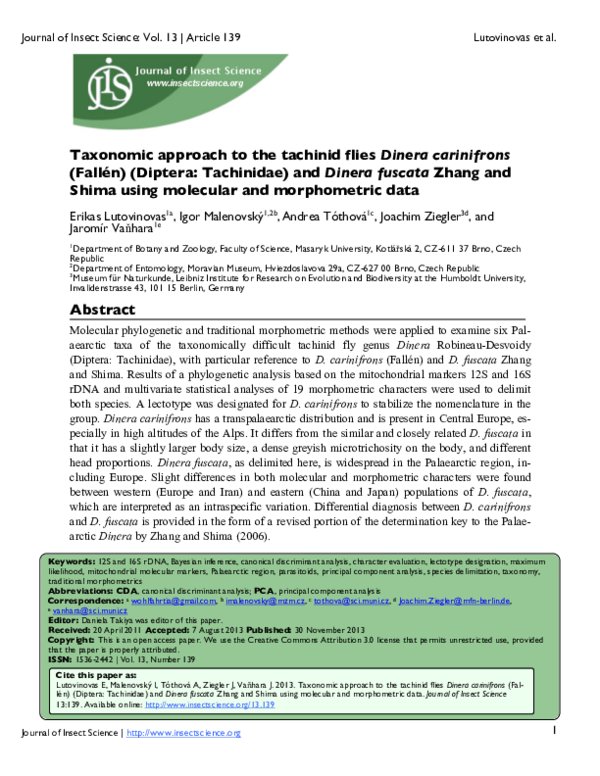(PDF) Taxonomic Approach to the Tachinid Flies Dinera carinifrons ...