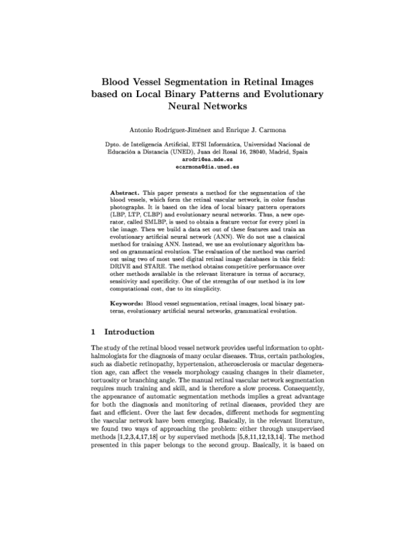 (PDF) Blood Vessel Segmentation in Retinal Images based on Local Binary ...