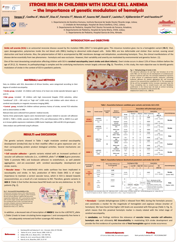 (PDF) Stroke risk in children with sickle cell anemia – the importance ...