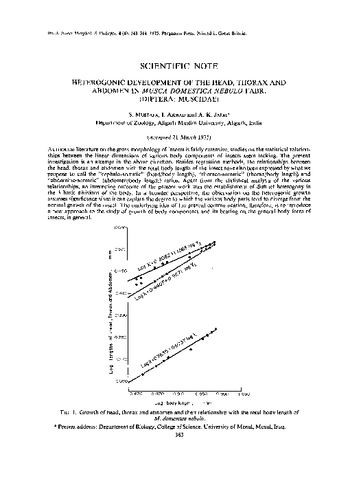(PDF) Heterogonic development of the head, thorax and abdomen in Musca ...