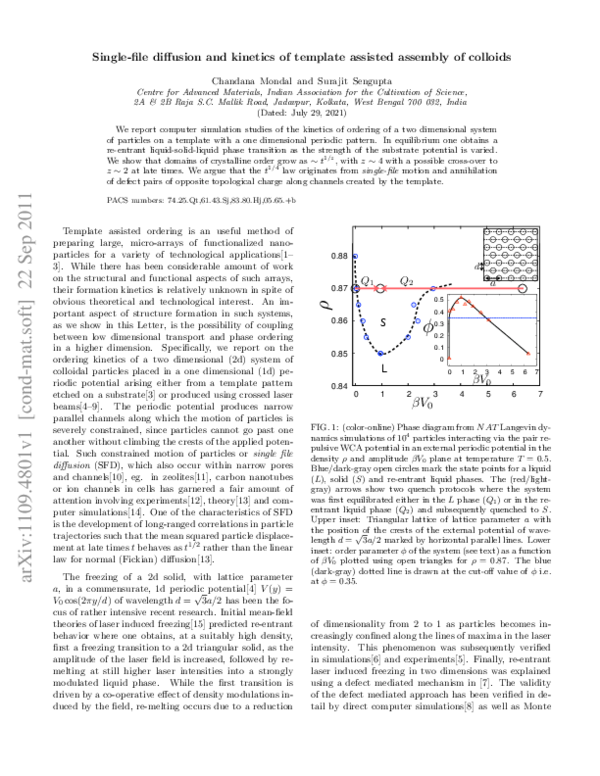 (PDF) Single-file diffusion and kinetics of template-assisted assembly ...