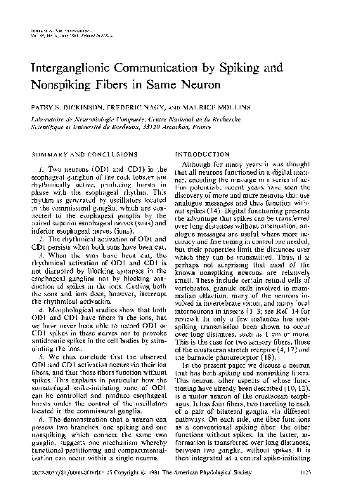 (PDF) Interganglionic communication by spiking and nonspiking fibers in ...