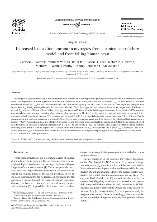 (PDF) Increased late sodium current in myocytes from a canine heart ...