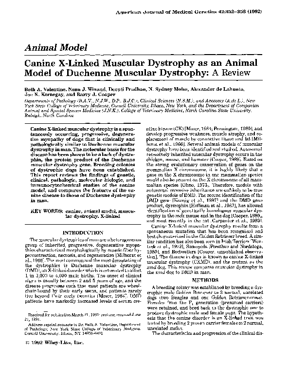 (PDF) Canine X-linked muscular dystrophy as an animal model of Duchenne ...