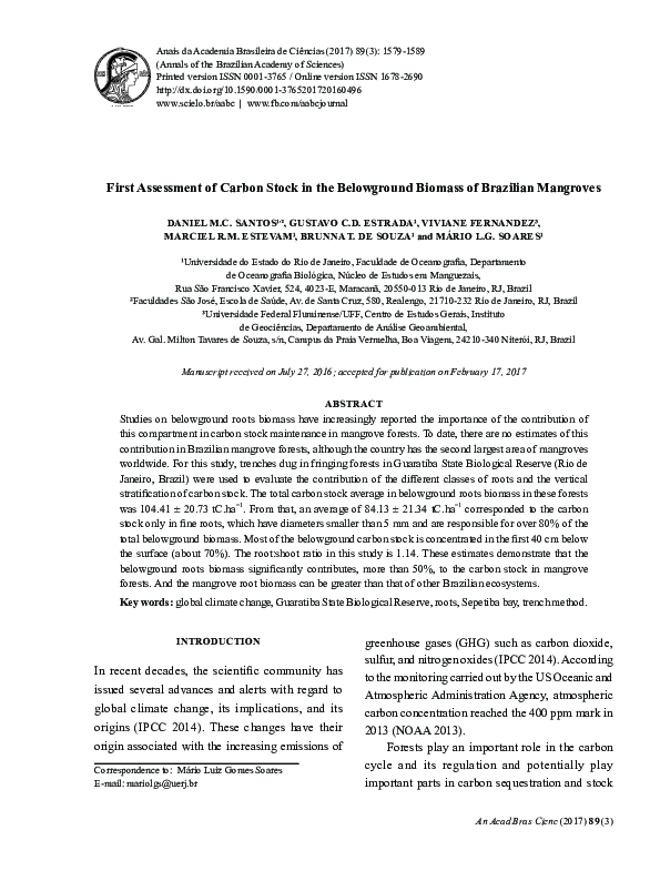 (PDF) First Assessment of Carbon Stock in the Belowground Biomass of ...