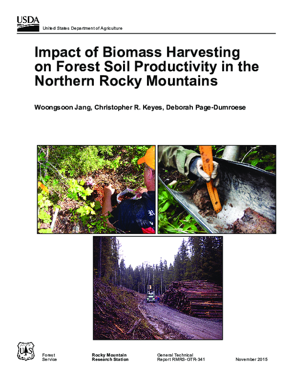 (PDF) Impact of biomass harvesting on forest soil productivity in the ...