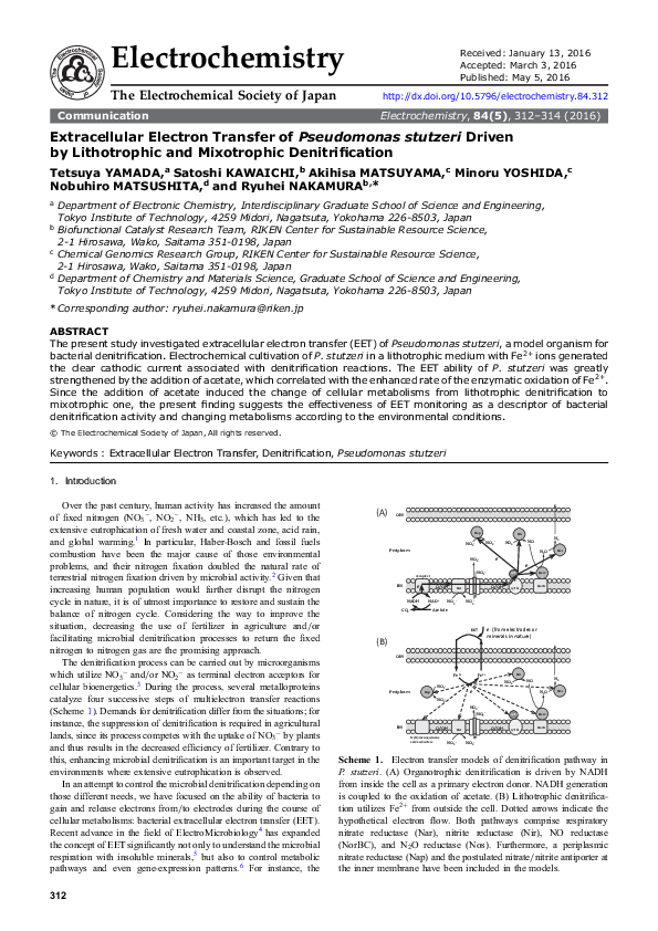 (PDF) Extracellular Electron Transfer of Pseudomonas stutzeri Driven by ...