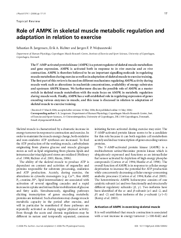 (PDF) Role of AMPK in skeletal muscle metabolic regulation and ...