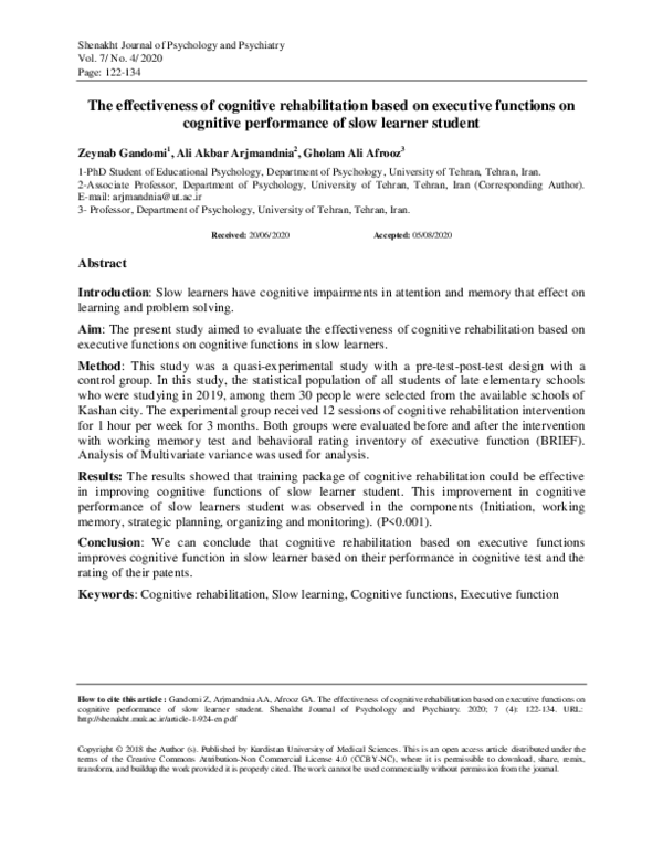 (PDF) The effectiveness of cognitive rehabilitation based on executive ...