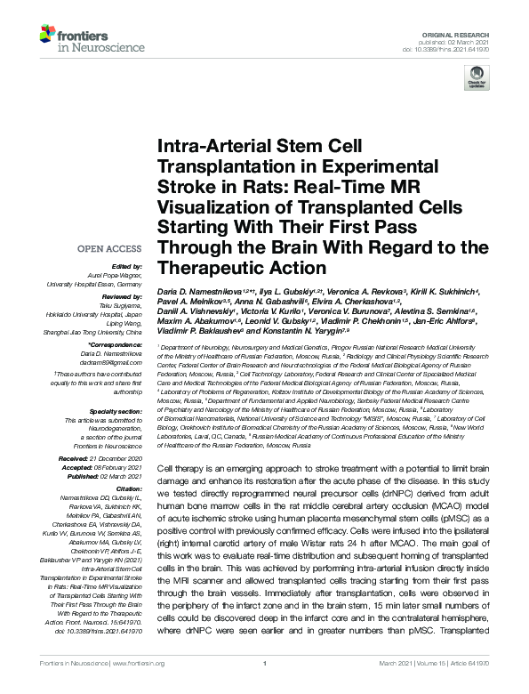 (PDF) Intra-Arterial Stem Cell Transplantation in Experimental Stroke ...