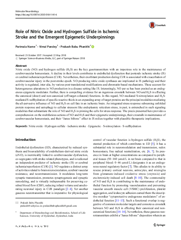 (PDF) Role of Nitric Oxide and Hydrogen Sulfide in Ischemic Stroke and ...