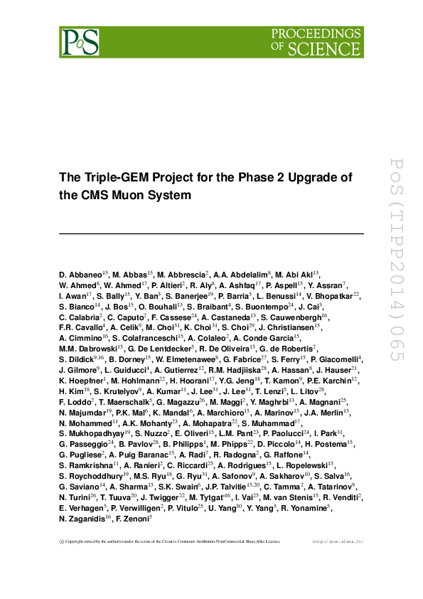 (PDF) The Triple-GEM Project for the Phase 2 Upgrade of the CMS Muon System