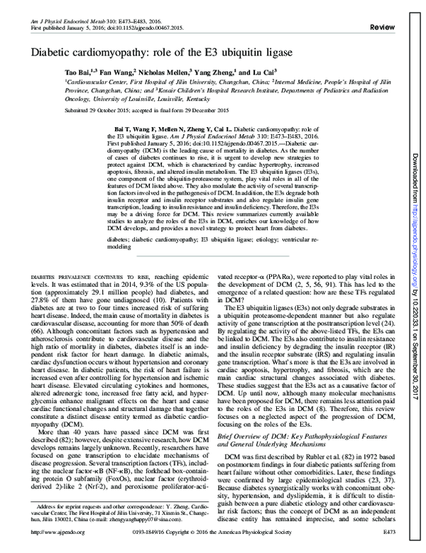 (PDF) Diabetic Cardiomyopathy: Role of the E3 Ubiquitin Ligase