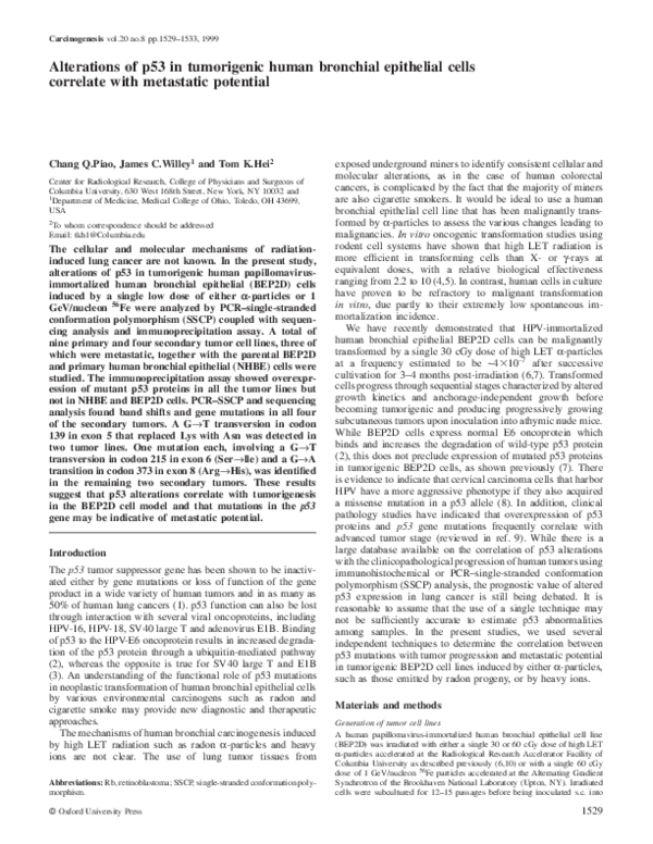 (PDF) Alterations of p53 in tumorigenic human bronchial epithelial ...