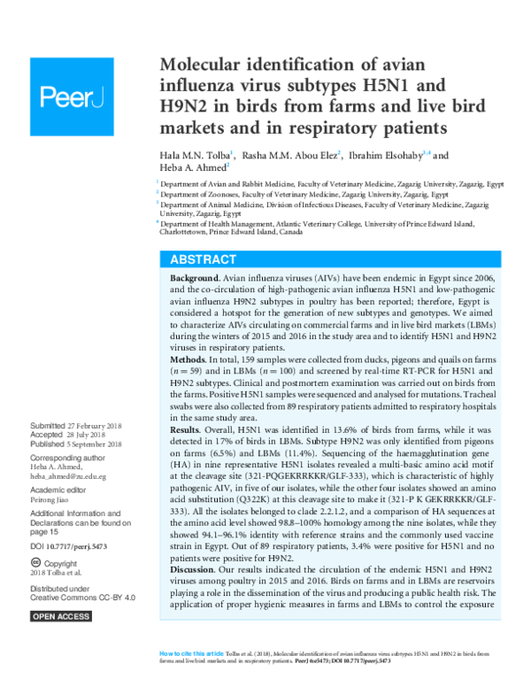 (PDF) Molecular identification of avian influenza virus subtypes H5N1 ...